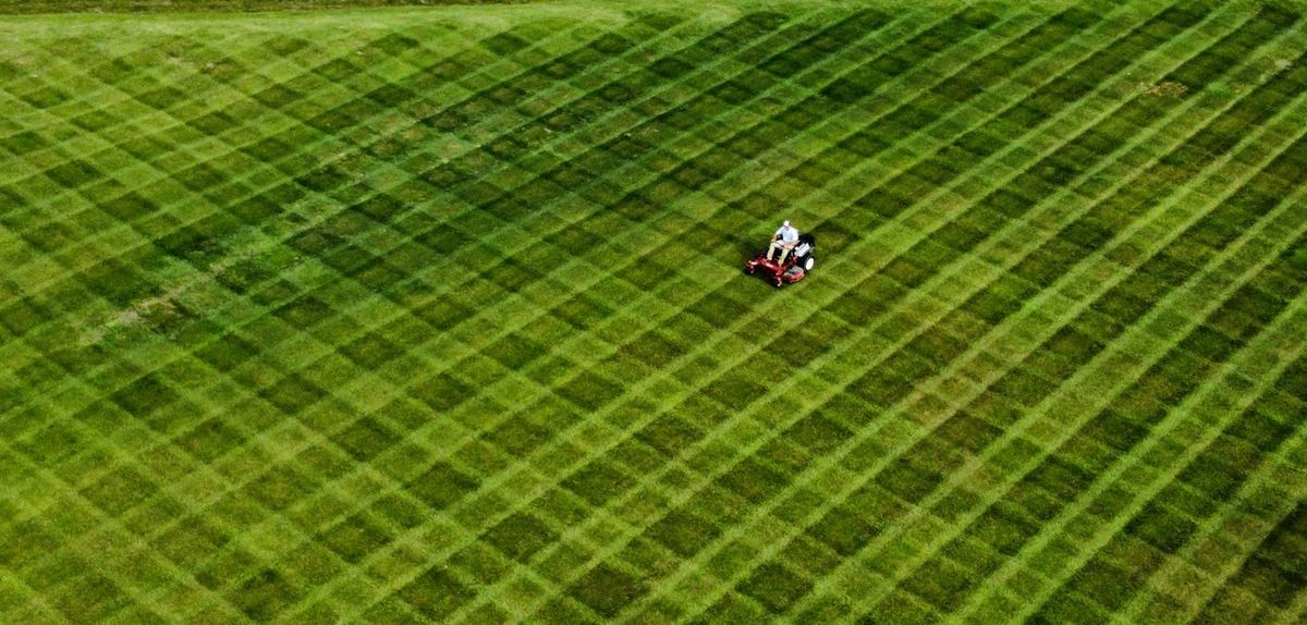 A neat green lawn